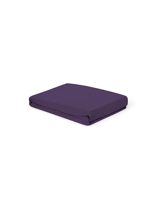 Living Home Double Bed Sheet With Rubber Hugger 160x200+30cm Brombeer