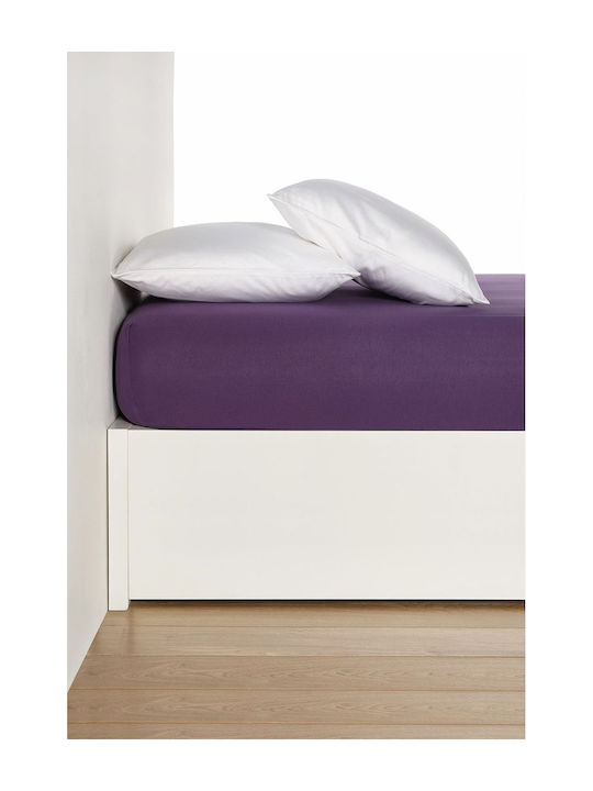 Living Home Double Bed Sheet With Rubber Hugger 160x200+30cm Brombeer