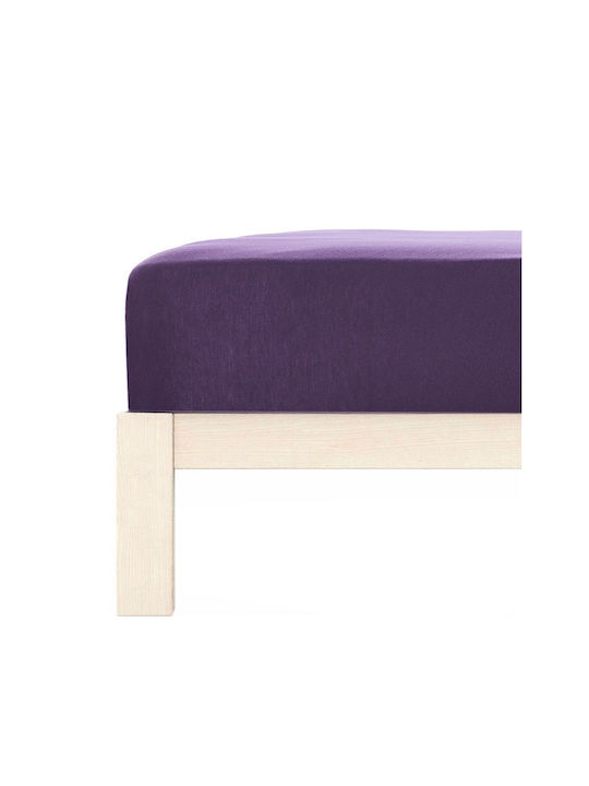 Living Home Double Bed Sheet With Rubber Hugger 160x200+30cm Brombeer
