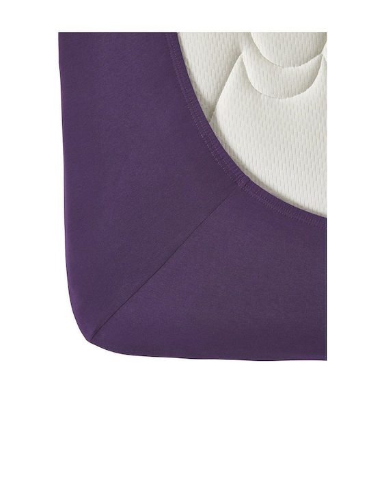 Living Home Double Bed Sheet With Rubber Hugger 160x200+30cm Brombeer