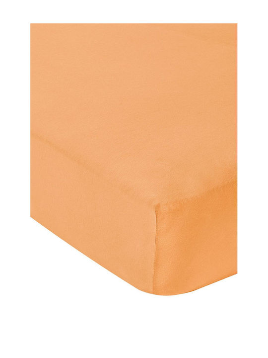 Living Home Super-Double Bed Sheet With Rubber Hugger 160x200+40cm Phirsich
