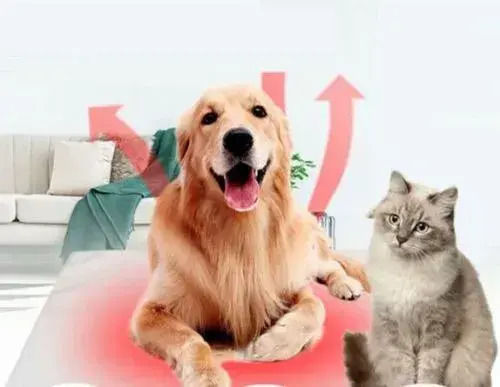 Θερμαντικό Πάτωμα Ζώα Γατιών Σκυλιών Κτλ Isicat-01