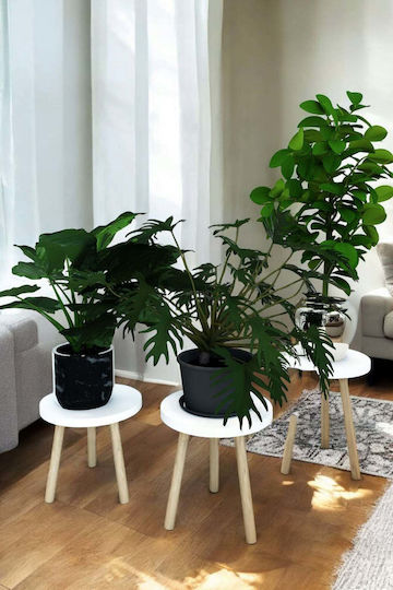 SteweHome White Wooden Plant Stands 23x23x28cm 3 Pieces