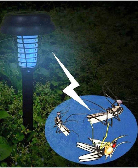 SteweHome Set of 2 Solar Lights with Blue Light