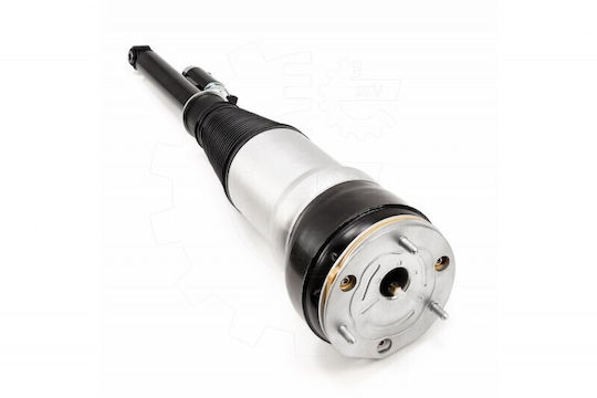 Gas Shock Absorber Mercedes-Benz S-Class 2223207313