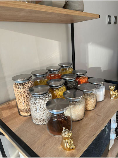 SteweHome Set of 12 General Use Jars with Metallic Lid 500ml