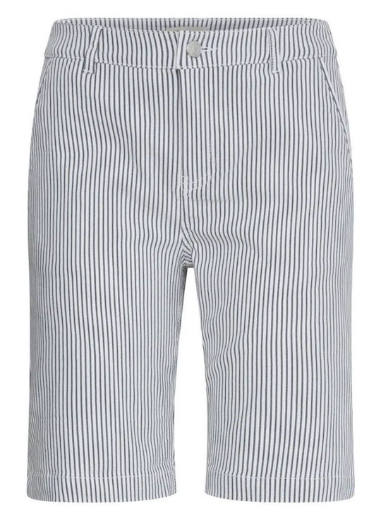 Women's Blue Striped Shorts