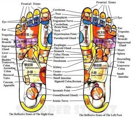 New System Foot Massager Infrared Waves Electromagnetic Foot Massage + Electrotherapy Pads + Buttocks Waist Training Electronic Belt