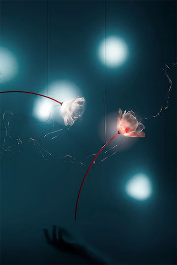 Slamp Lumini Suspendate Transparent LED Cu Lumină Alb Cald
