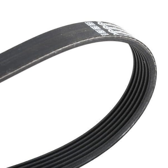 Contitech 6 Pk 1564 Multi-rib Belt