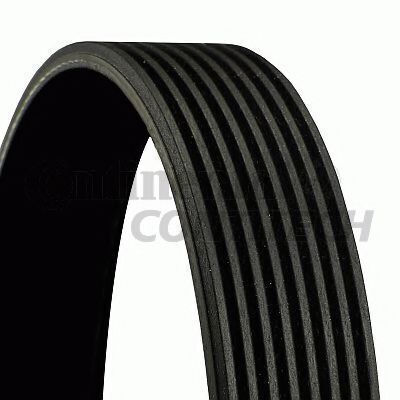 Contitech 8pk2050 Rippierter Automotriebwerk Gürtel