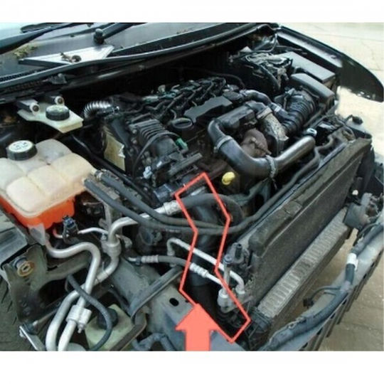 Ford C-Max Focus C-Max Focus Ii Serie Intercooler 1525112