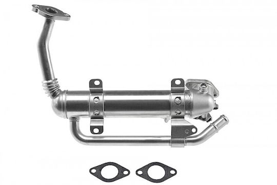 NTY Радиатор EGR за автомобил за Volkswagen Caddy / Golf Plus / Golf / Passat Audi A3