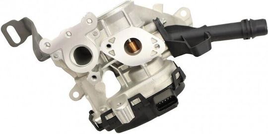Fast Car EGR Valve for Citroen Berlingo