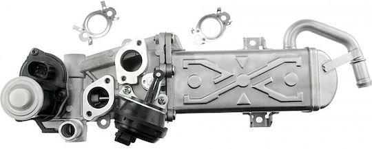 NTY Car EGR Valve for Volkswagen Golf / Passat
