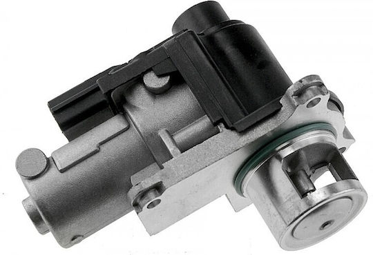 NTY Car Engine EGR Valve for Volkswagen Golf / Jetta / Beetle