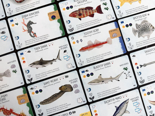 Επέκταση Παιχνιδιού Finspan: Sharks & Reefs για 1-5 Παίκτες 10+ Ετών STM_STM873 (EN) Stonemaier Games
