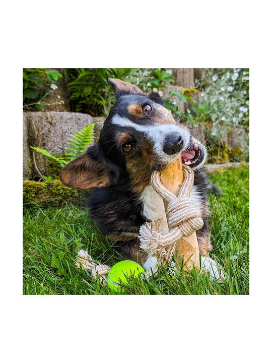 Nobby Hundespielzeug Nobby Seil Braun 1 Stück