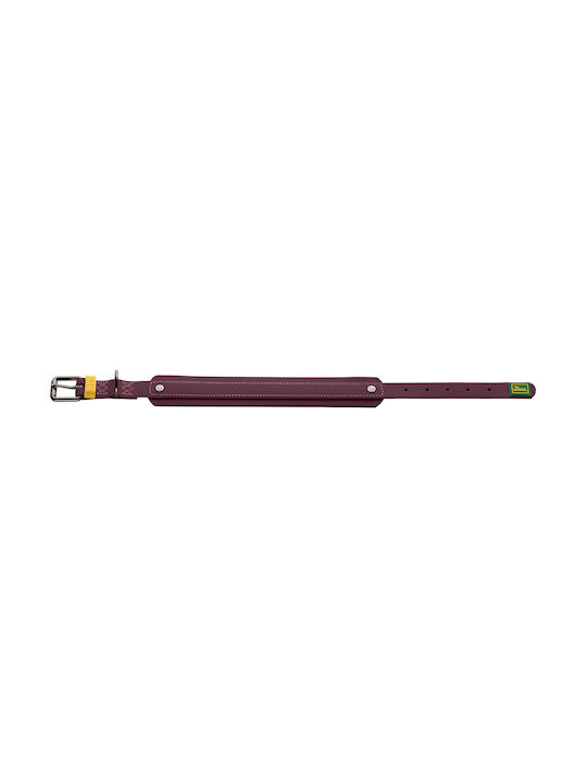 Hunter Guler Pentru Câini Havanna Mini S 40 Cm Nylon Căptușeală Plastic Rezistent Confortabil Reglabil 27-35 Cm Lățime 2,5 Cm Gunmetal
