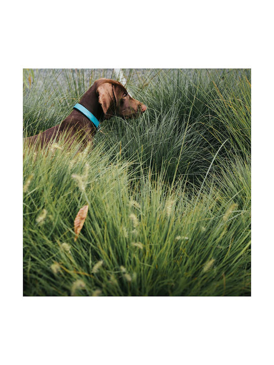 Hunter Περιλαίμιο Convenience Confort S-m 45 Cm Hunter Περιλαίμιο Convenience Confort S-m 45 Cm