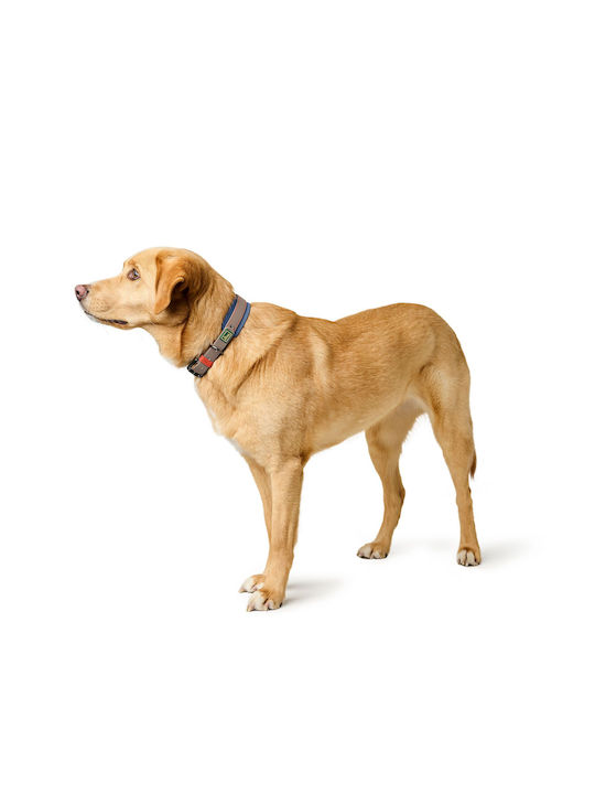 Hunter Dog Collar Havanna S-M 45 Cm Durable Comfortable & Waterproof