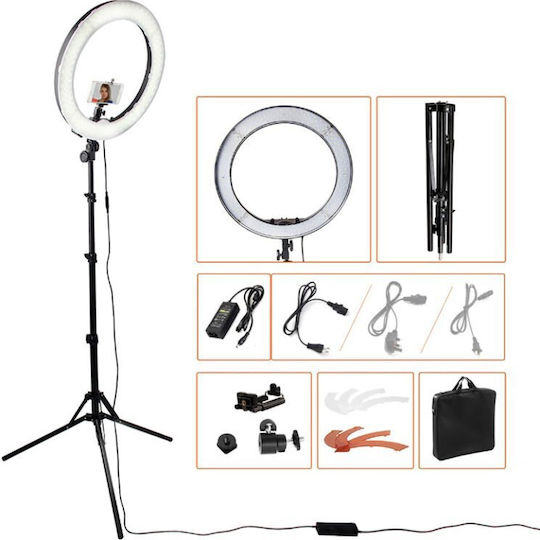 Ring Light