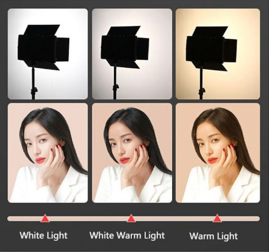Video Light 85W RL-900