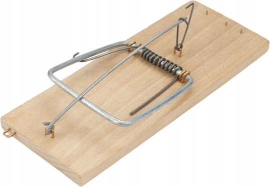 Gold Tools din Lemn