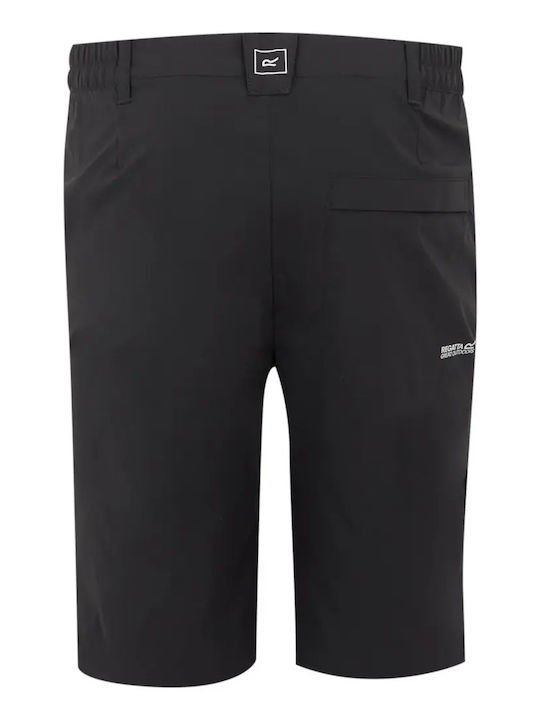 Regatta Herren Kurze Bergsteigerhose Grau