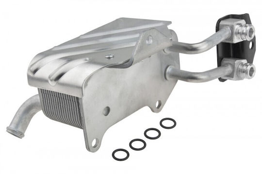 Ψυγείο Λαδιού Λάδι Κινητήρα Ford Ranger 2011-0 3.2l Pickup