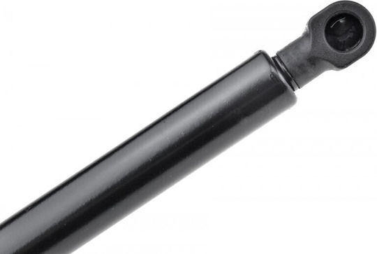 NTY Trunk Shock for Citroen C5
