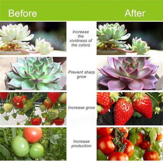 Desk Grow Light with LED