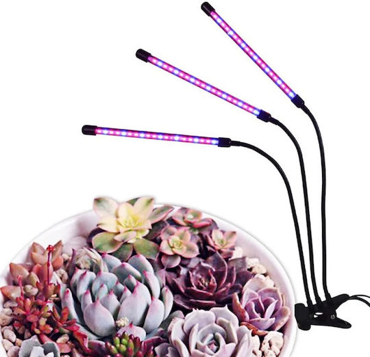 Desk Grow Light with LED