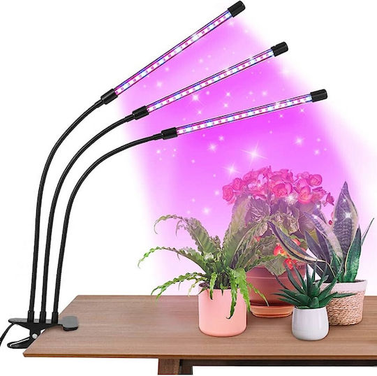 Desk Grow Light with LED