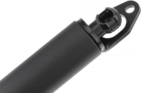 Gas Shock Trunk Compartment Bmw 7 2001-2009 4.4l Sedan Bmw 7 2001-2009 3.6l Sedan Bmw 7 2001-2009 4.8l Sedan