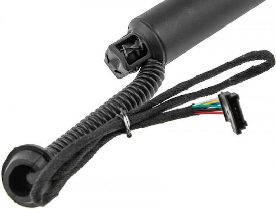 Gas Trunk Shock Luggage Compartment Bmw X6 2014-2019 4.4l Suv Bmw X6 2014-2019 3.0l Suv Bmw X6 2014-2019 2.0l Suv
