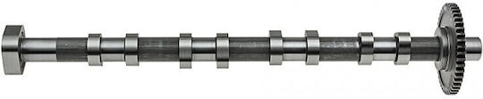 Εκκεντροφόρος Άξονας Audi A3 2003-2013 2.0l Hatchback Audi A3 Convertible 2008-2013 2.0l Convertible Audi A3 Sportback 2004-2015 2.0l Hatchback