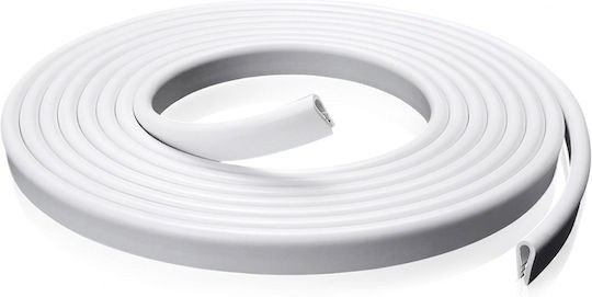 Protective Film Door Hood Trunk White 5m
