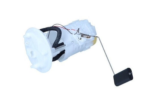 Delphi Kraftstoffpumpe für Autos