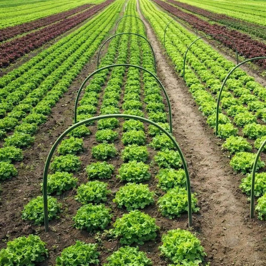Suport Plantă Din Pvc În Formă De U Înălțime 71cm