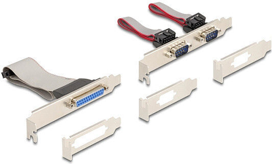 DeLock Κάρτα σε θύρα Mini PCIe