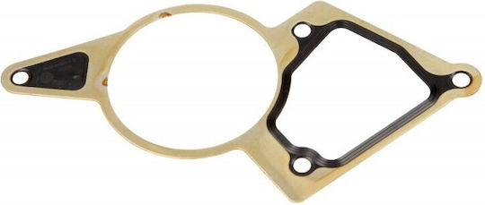 Vacuum Pump Gasket Oe Peugeot