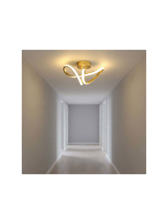 Jiju Lampă De Perete Cu LED Integrat Și Lumină Alb Rece Auriu