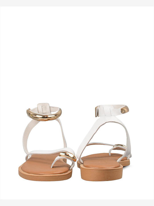 Zakro Collection Zakro Collection