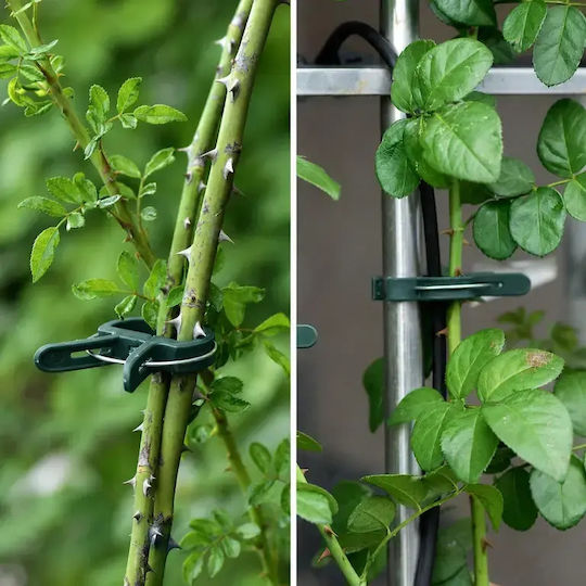 Set 20 Clips De Legat Plante Zola Roșii Ardei Castraveți Reutilizabile Rezistente La Intemperii 4.5 X 3 Cm