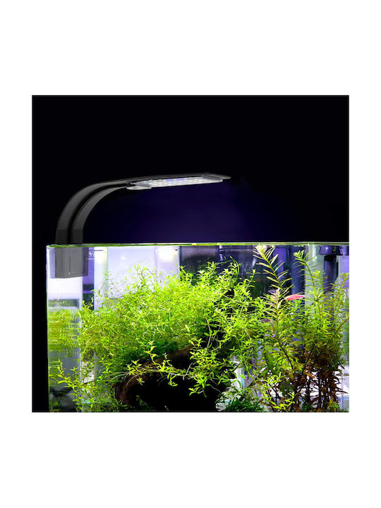 Zola Dekorative Tischlampe LED 7000K