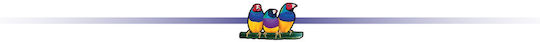 Viewsonic ViewSonic Interaktiver Touch-Display 55" Android