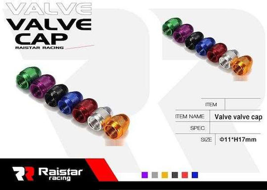 Raistar Capace de Valvă pentru Anvelope Auto Argintiu 4buc