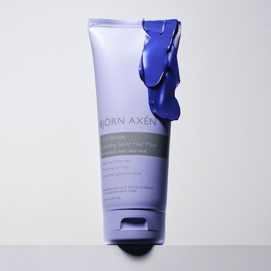 Björn Axén Haarmaske Für Farbschutz 200ml