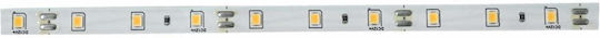 Lightex LED Лента 12V Топло Бяло Светлина